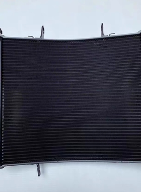 凯旋Street Triple 765RS 765R  水箱总成  原厂 拆车件