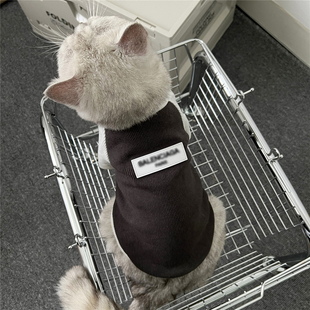 秋冬装狗狗猫咪衣服潮牌帅气公猫金银渐层英美短蓝猫比熊保暖卫衣