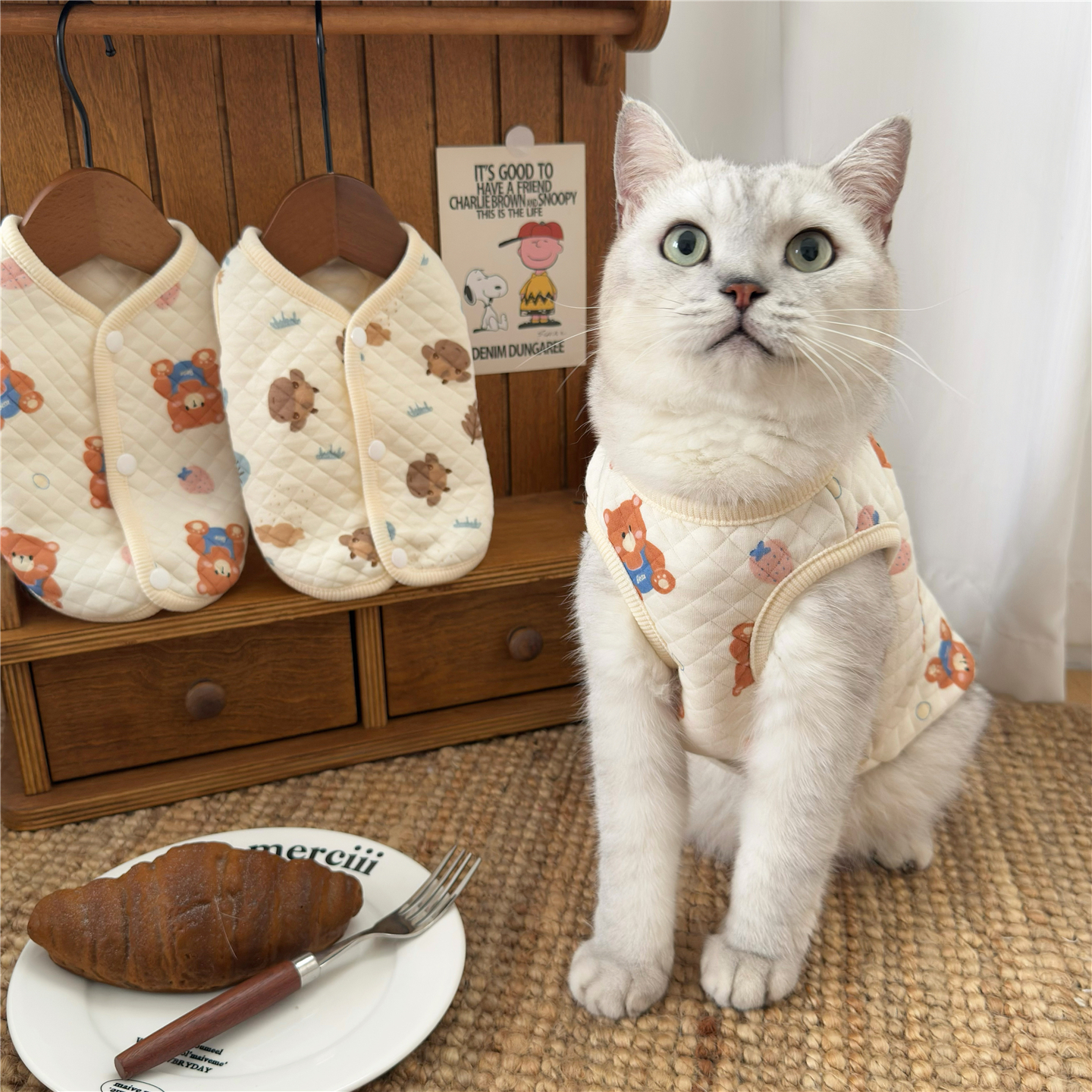 冬季保暖马甲蓝猫背心幼猫无毛猫银渐层可爱冬天网红狗狗猫咪衣服