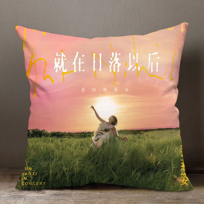 孙燕姿周边方形抱枕照片定制