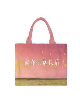 孙燕姿演唱会应援周边帆布袋手提袋子装书袋子结实托特包手拎方包