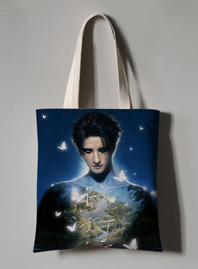 张远演唱会应援周边帆布袋手提单肩袋子装书大容量学生收纳袋包包