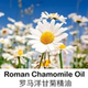 罗马洋甘菊精油10ML芳疗级护肤纯单方精油植物温和舒缓脆弱皮肤