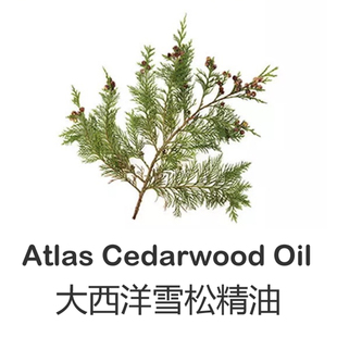 芳香大西洋雪松单方精油10ml深层清洁收缩毛孔脸部控油面部按摩