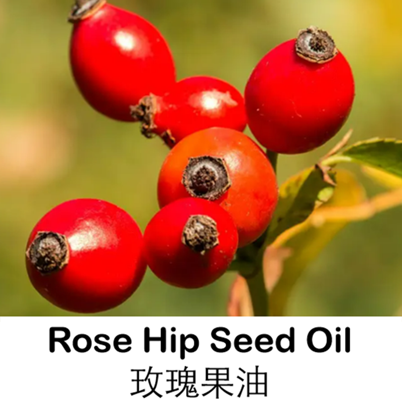 50ml进口智利野生玫瑰果油玫瑰籽油基础油基底油按摩护肤厂家直销