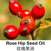 50ML进口智利野生玫瑰果油玫瑰籽油基础油基底油按摩护肤厂家直销