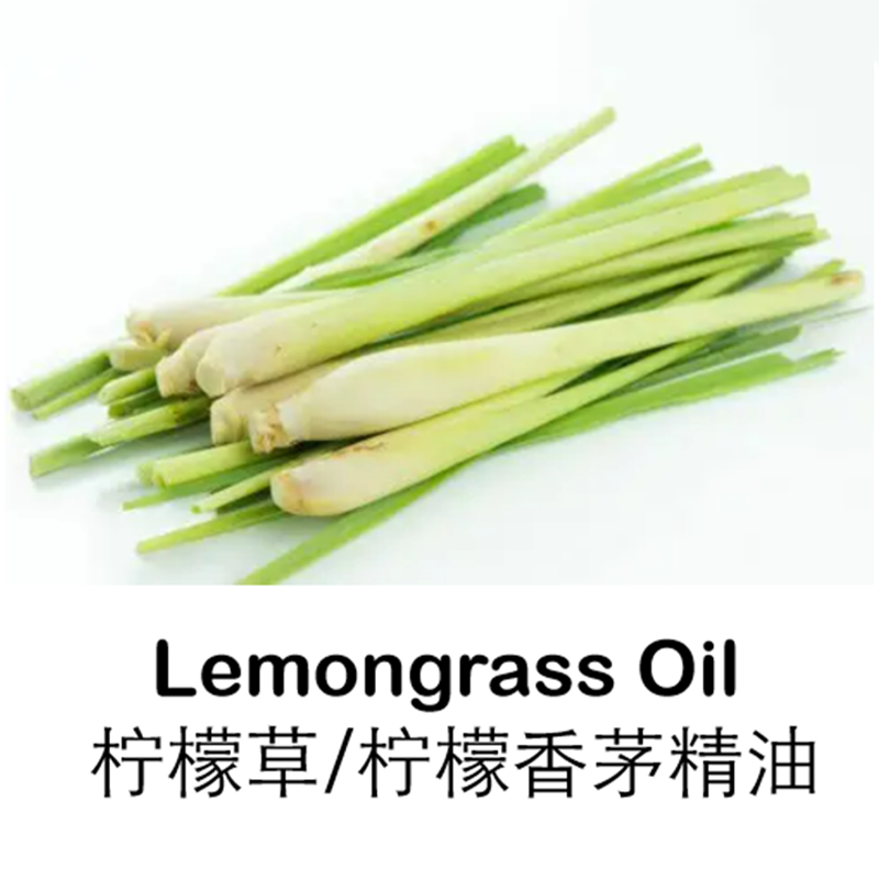 柠檬草柠檬香茅单方精油10ml纯精油驱蚊虫香气酸甜提振食欲扩香