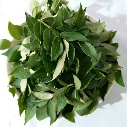 山西农家新鲜花椒叶野菜蔬菜椒叶包邮