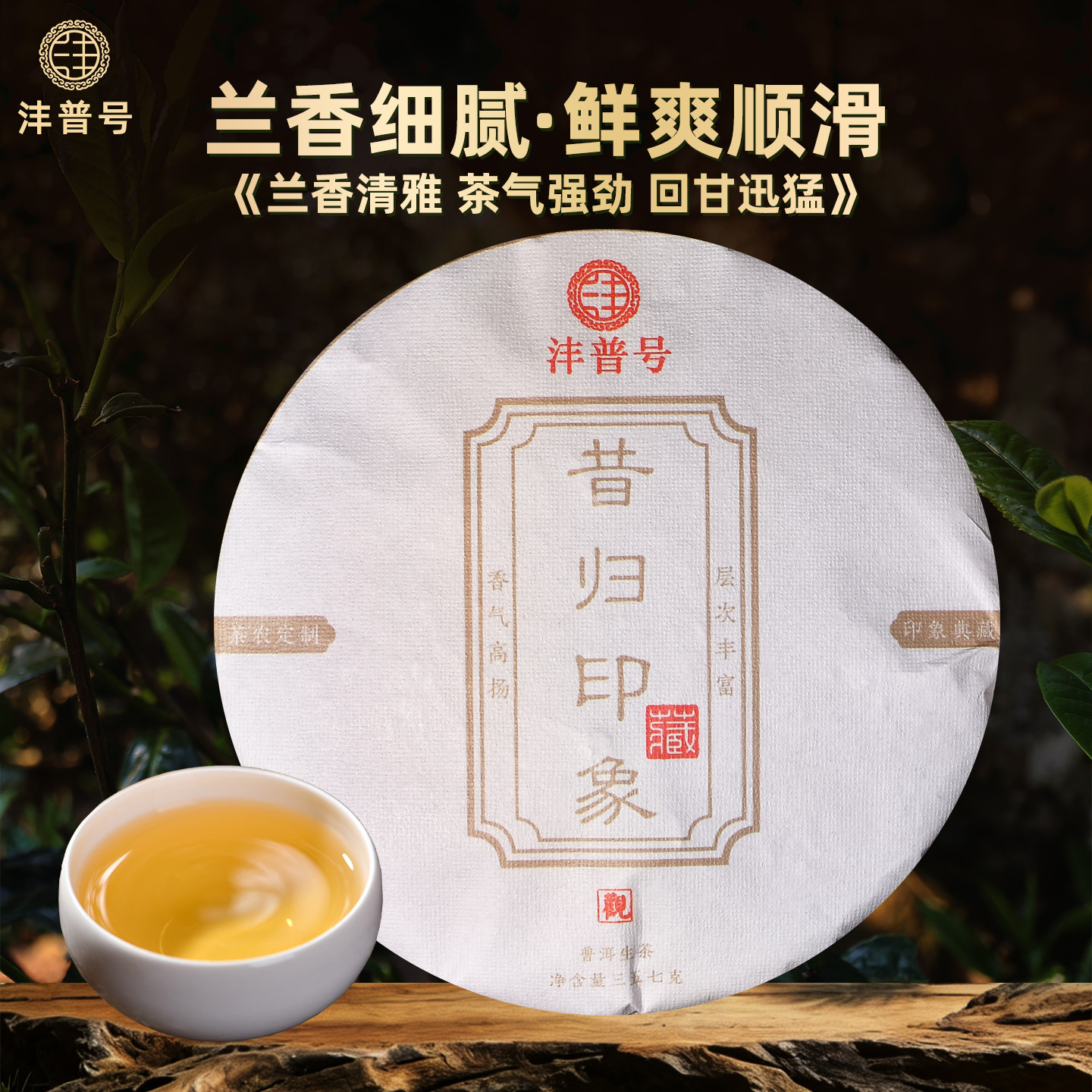 沣普号普洱茶生茶2021年古树生茶饼云南七子饼昔归普洱茶生普茶叶