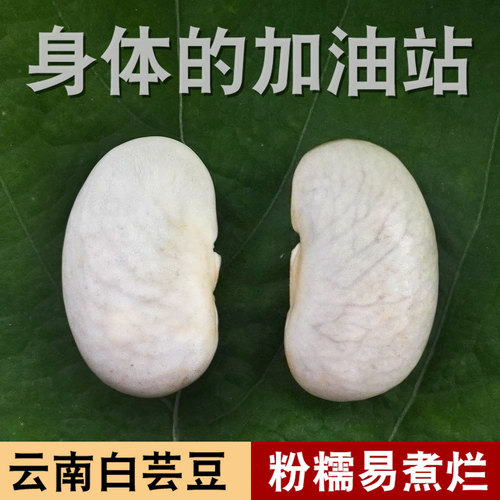 云南农家大白芸豆白扁豆粉糯易煮