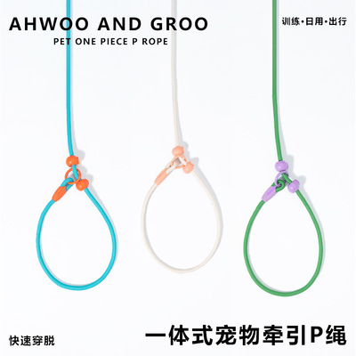 赛级p绳中大型犬训犬绳