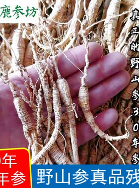 长白山林下参老池底打粉料林下参籽参10克养生人参高年头残肢包邮