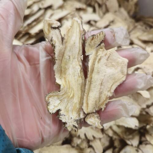 长白山本地当归片手选精品满满的挥发油