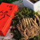 包邮 长白山人参现挖2024新货带土人参小人参产地发货 10棵起拍