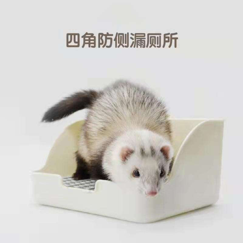 大方厕所可固定四角便盆