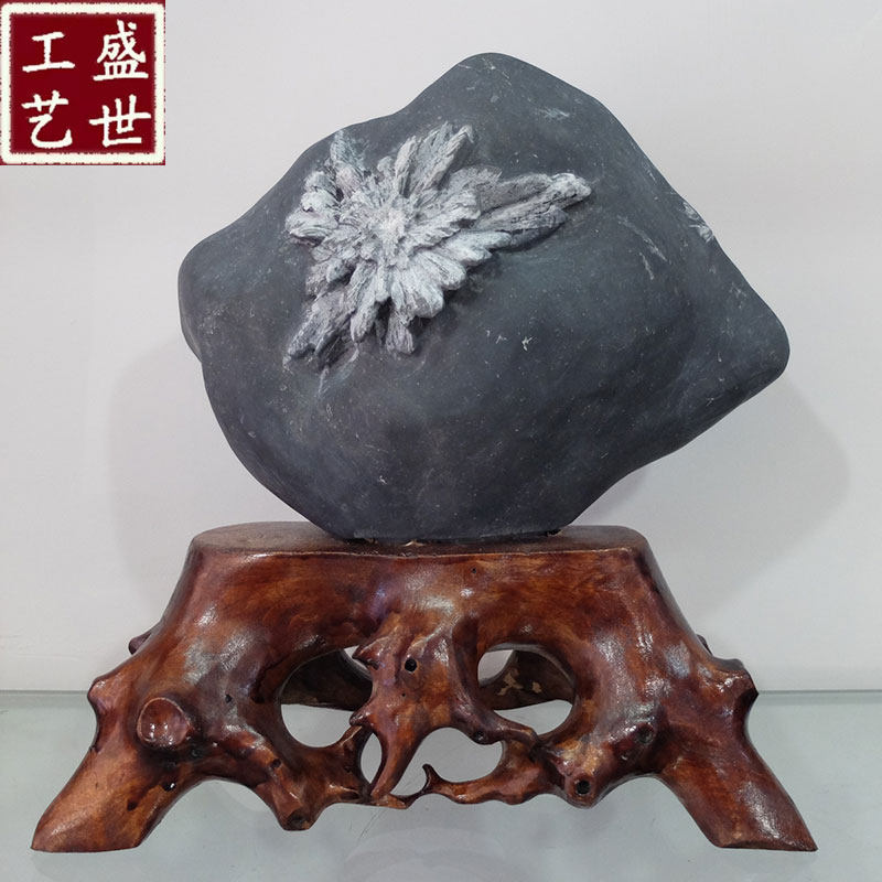 菊花石原石天然奇石矿物收藏地方特色观赏石原生态自然家居摆件