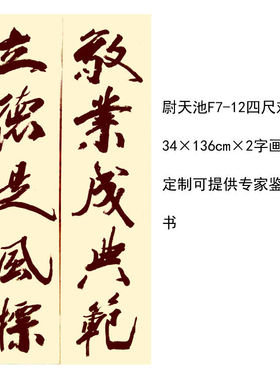 临摹手写尉天池书法题字对联34×136cm名人字画毛笔临摹定制可选