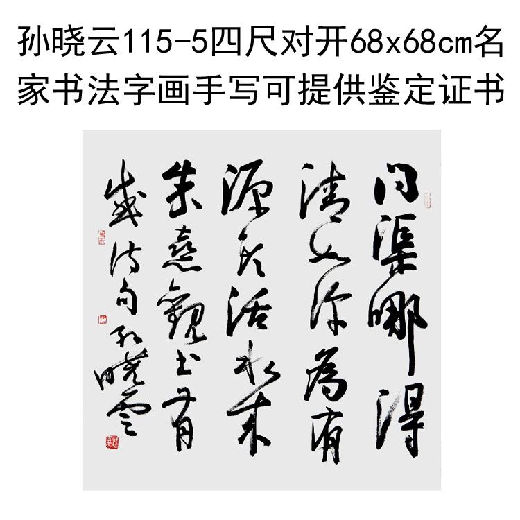 临摹手写孙晓云书法四尺斗方68x68cm名家题字字画收藏可提供鉴定 家居饰品 书法 原图主图