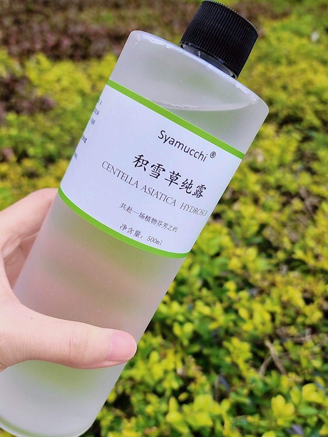积雪草纯露500ml 祛痘印痘纯露/花水