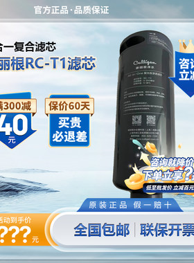 康丽根滤芯通用AVE-T2800