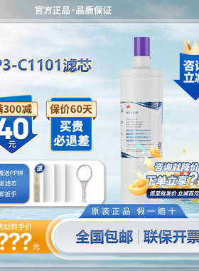 过滤器芯家用厨房3M净水器