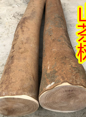 弹弓叉原料 原木油茶木油茶树木料大直径工艺品料雕刻料子料 diy