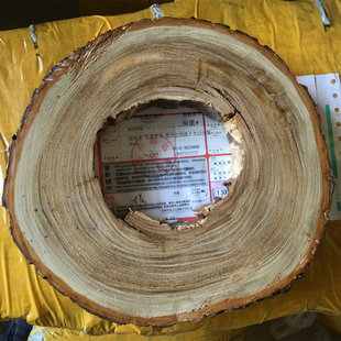 天然实木原木镂空空心创意家具diy树根料底座木片带洞树洞树窝