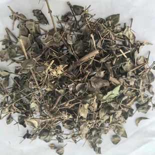 绣花针 虎刺 伏牛花 寿星草 500g克35元 正品保证 中草药材