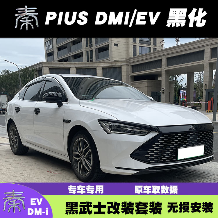 适用秦PLUS秦Plus dmi/EV中网饰条黑武士秦pro车身亮条改装饰用品