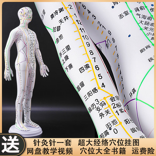 经络穴位十二扎针小皮铜人模型