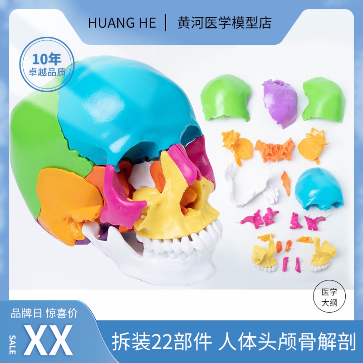 人体教学模型头骨解剖黄河可拆装