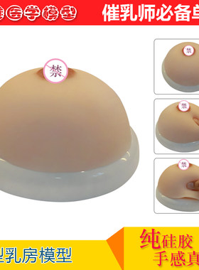 催乳师培训医学用硅胶假乳房模型