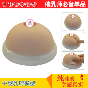 催乳师培训医学用软硅胶假乳房家政技校医院示范教学乳房模型教具