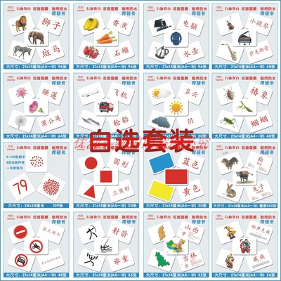 儿童益智潜能开发训练杜曼闪卡