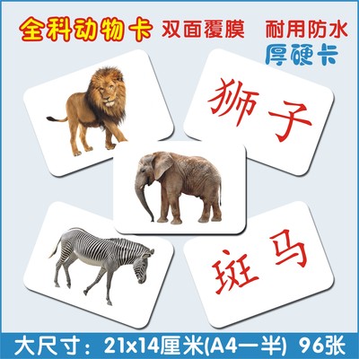 早教杜曼百科动物闪卡看图识字