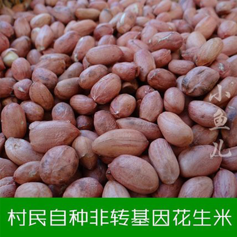 今年新货自家种的花生山东特产