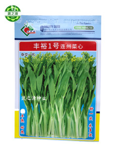 连州菜心种子连州迟菜心种子丰裕一号1号2号3号4号秋季冬季播种
