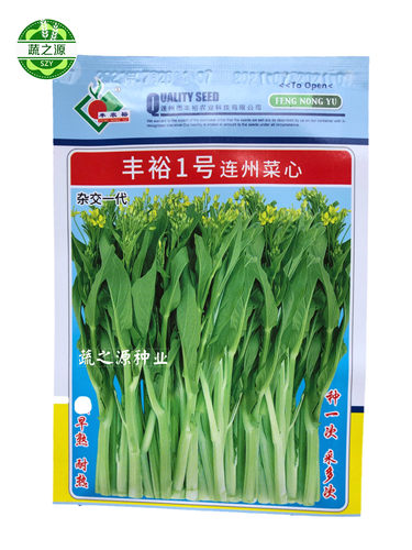 连州菜心种子连州迟菜心种子丰裕一号1号2号3号4号秋季冬季播种
