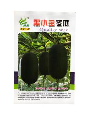 新研育冬瓜盅冬瓜种子黑小宝冬瓜杂交黑皮长冬瓜种子易授粉