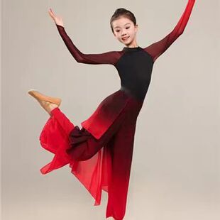 元旦儿童古典舞荷花奖溯跃抬龙王演出服女飘逸练功服秧歌服中国舞