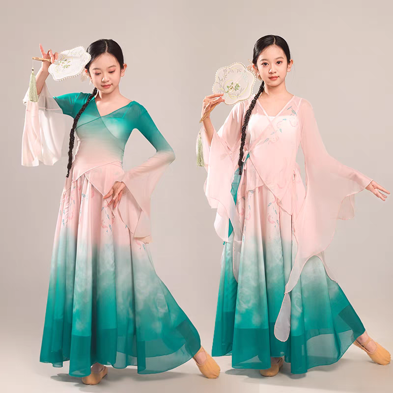 古典舞蹈服女纱衣身韵海棠花渐变超仙飘逸大摆裙中国舞民族演出服