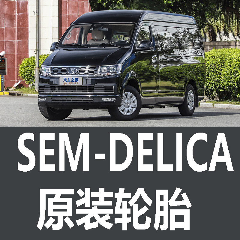 东南SEMDELICA轮胎  专用  原车 原厂 德国马牌 米其林 载重 汽车零部件/养护/美容/维保 乘用车轮胎 原图主图