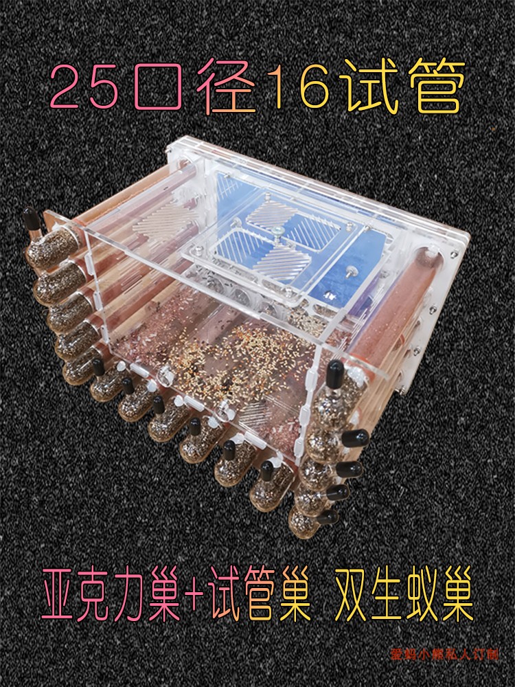 25口径试管+亚克力巢双生蚂蚁巢