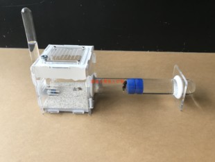 爱蚂小熊白菜新后亚克力蚂蚁巢15 18 20 25 30口径单试管巢活动区