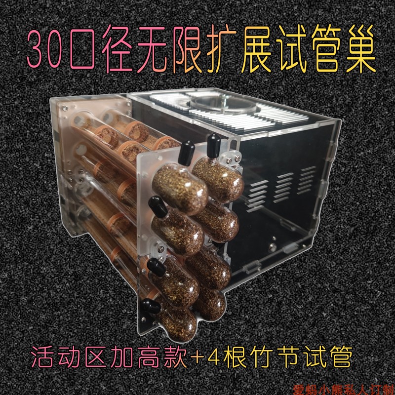 30口径无限扩展试管巢蚂蚁巢