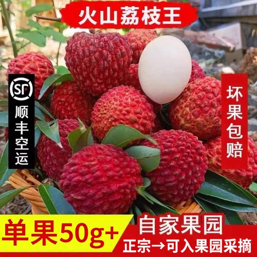 海南火山荔枝王大荔枝王顺丰空运
