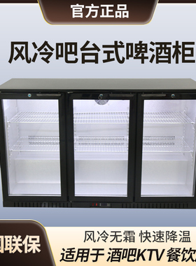 立式迷你KTV小型展示柜啤酒柜