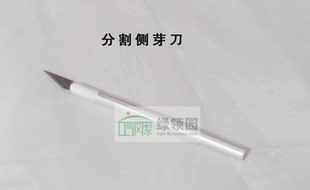 绿领园【空凤造景】切割空凤侧芽刀具 随机发货