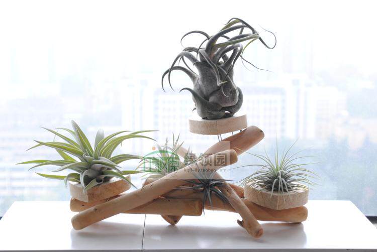 绿领园【空凤座驾】创意手工原木心型底座 圣诞节 情人节 礼品