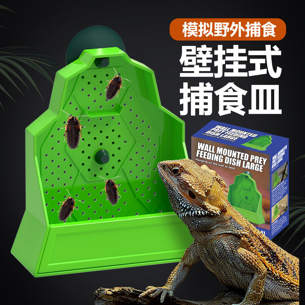 壁挂式爬宠爬虫防逃喂食盆守宫角蛙杜比亚蟋蟀活体自助捕食喂食器